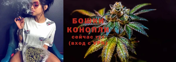 стафф Пролетарск