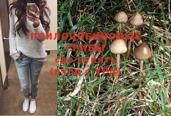 PSILOCYBIN Протвино