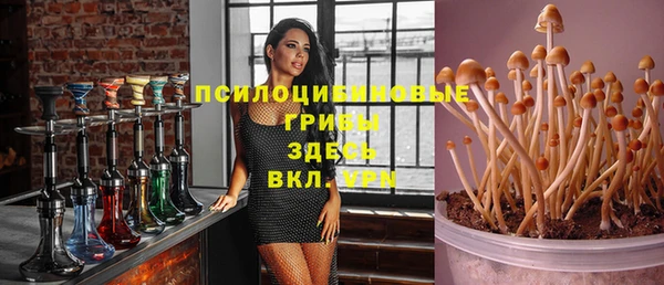синтетический гашиш Ростов