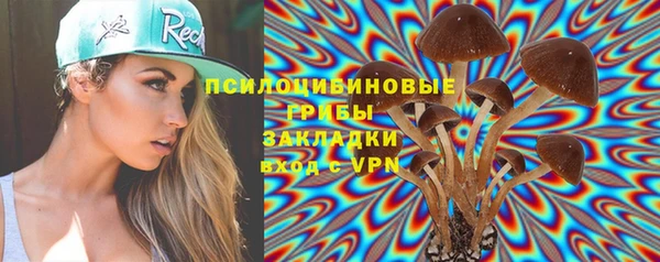 стафф Пролетарск